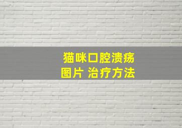 猫咪口腔溃疡图片 治疗方法